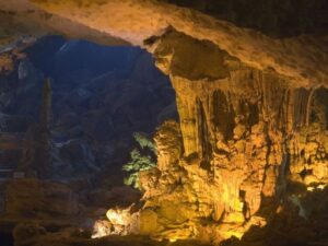 Alisa-Premier-Cruise-2D1N