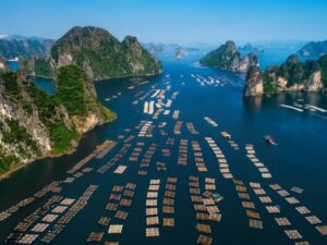 Athena-Signature-Royal-3D2N