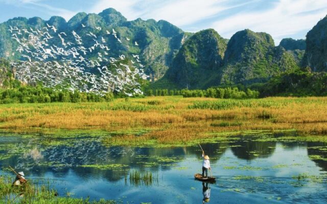 Cuc-Phuong-Van-Long-Hanoi