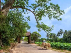 Duong-Lam-Ancient-Village-And-Hanoi-City-Tour-Private-Tour