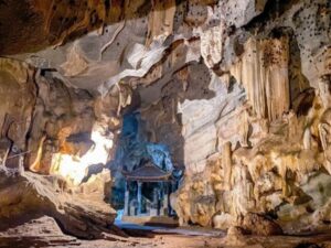 Exploration-Of-Cuc-Phuong-National-Park