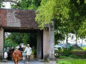 Explore-Duong-Lam-Ancient-Village