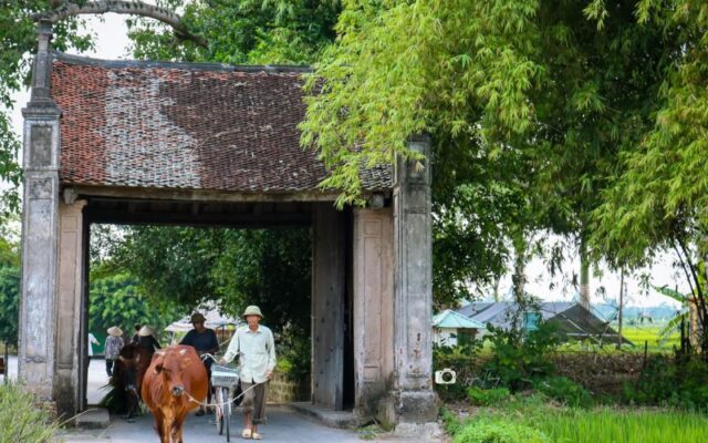 Explore-Duong-Lam-Ancient-Village