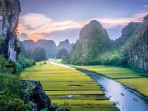 Hoa-Lu-Temple-Mua-Cave -Trang-An-Ecosystem-3