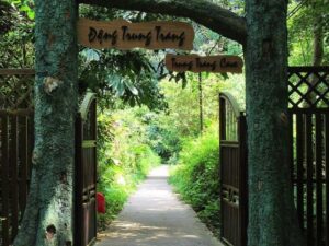 Indochine-Cruise-Trip-Day-3