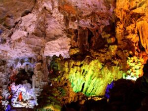 Iris-Cruise-Daily-1-Day-Trip