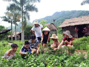 Mon-Chéri-Cruise-3D2N-2