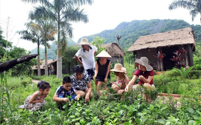 Mon-Chéri-Cruise-3D2N-2