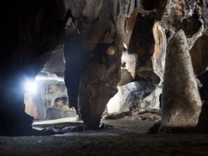 Orchid-Classic-Trip-Day-1.