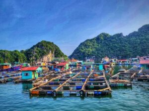 Paradise-Sails-Trip-Day-2