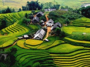Sapa-Y-Linh-Ho-Lao-Chai-Ta-Van-Trekking-Hanoi