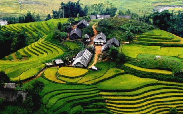 Sapa-Y-Linh-Ho-Lao-Chai-Ta-Van-Trekking-Hanoi