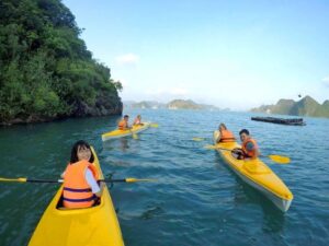 Stellar-Of-The-Seas-2D1N