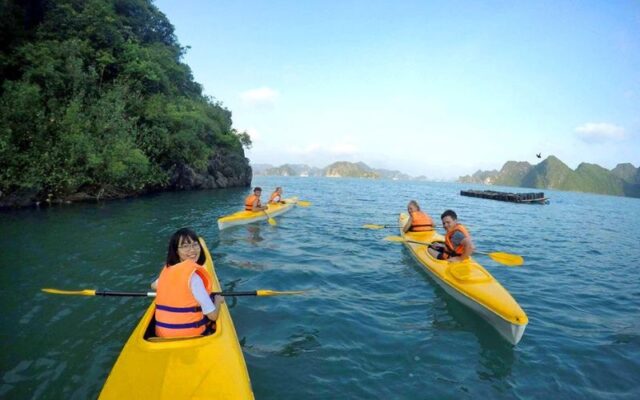 Stellar-Of-The-Seas-2D1N