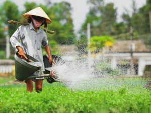 TRA-QUE-FARMING-AND-FISHING