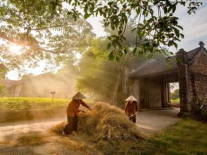 The-Ancient-Beauty-Of-Duong-Lam-Ancient-Village-Private-Tour