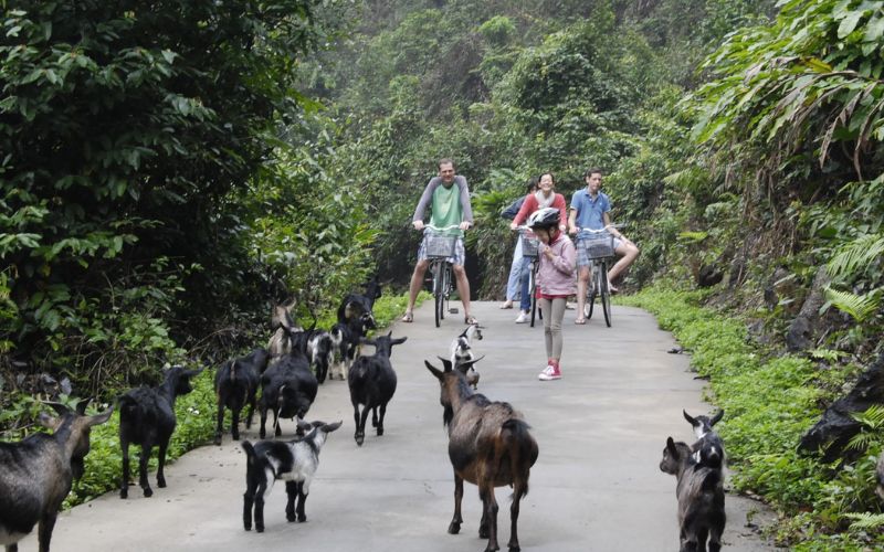 The-Au-Co-Cruise-2D1N-2