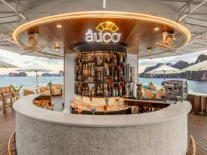 The-Au-Co-Cruise-3D2N