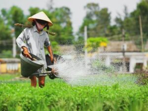 The-Simple-Beauty-Of-Tra-Que-Vegetable-Village