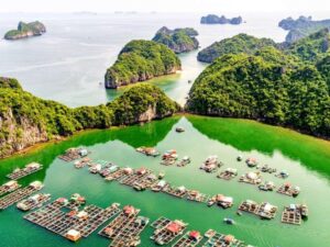 Tuan-Chau-Halong-Bay-Lan-Ha-Bay-Tra-Bau