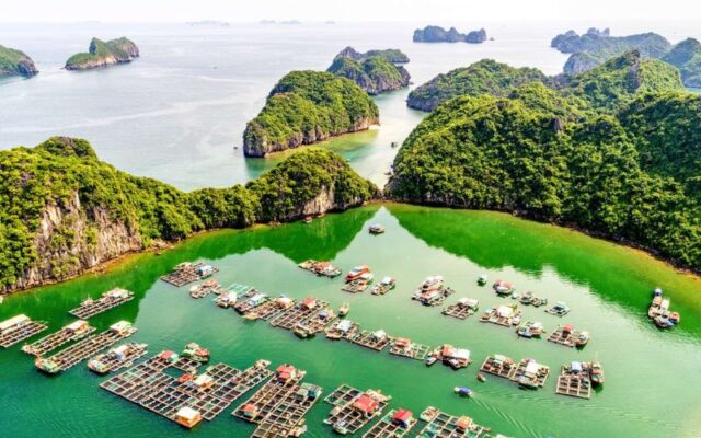 Tuan-Chau-Halong-Bay-Lan-Ha-Bay-Tra-Bau