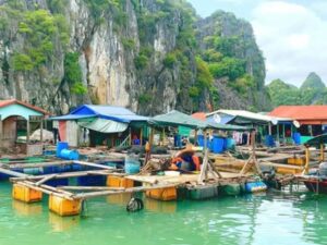 Venus-Cruise-Trip-Day-1