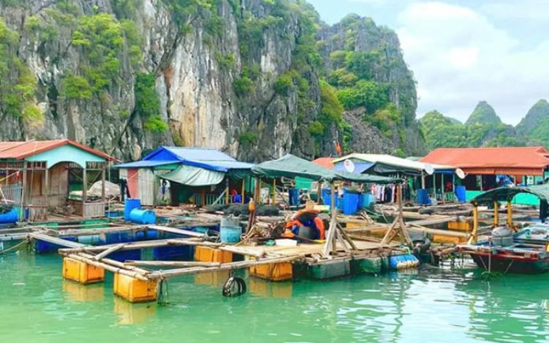 Venus-Cruise-Trip-Day-1