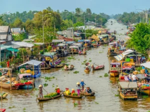 Mekong Delta Tour full day - Private tour